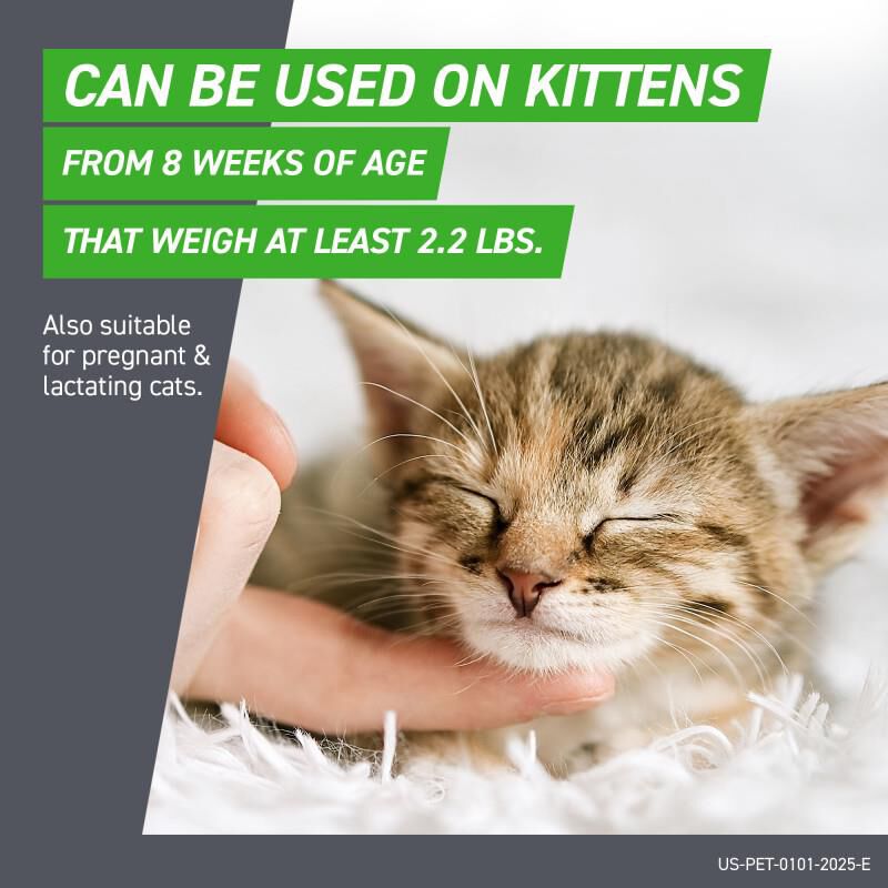 Frontline Plus for Cats 3 Month Supply