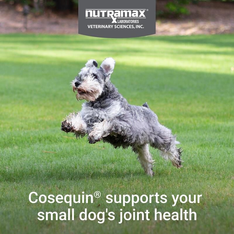 Nutramax Cosequin Joint Supplement for Small Dogs, Max Strength with MSM plus Omega-3's, 45 Soft Chews