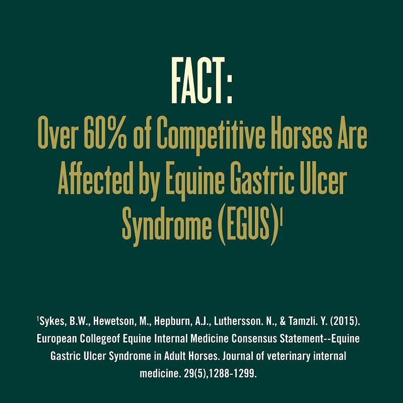GastroGard for Horses