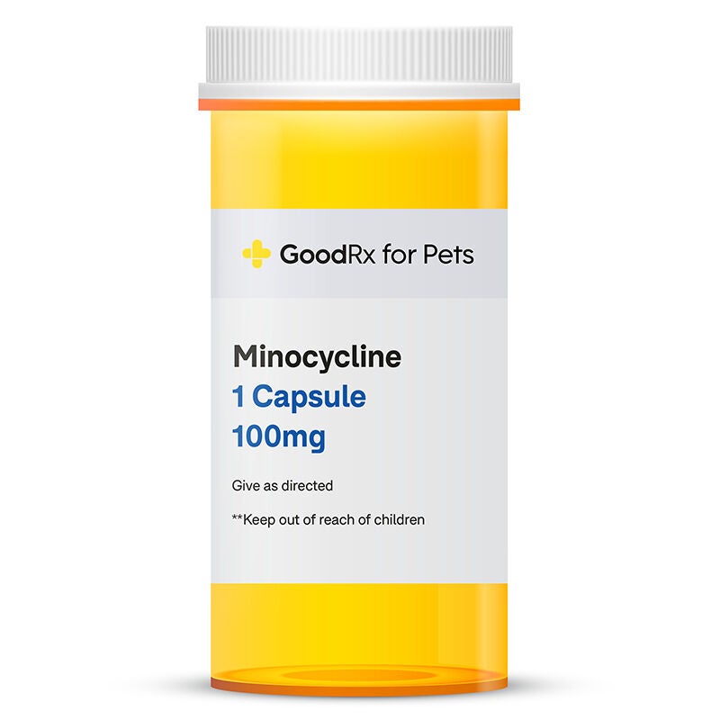 Minocycline 100 mg 1 Capsule