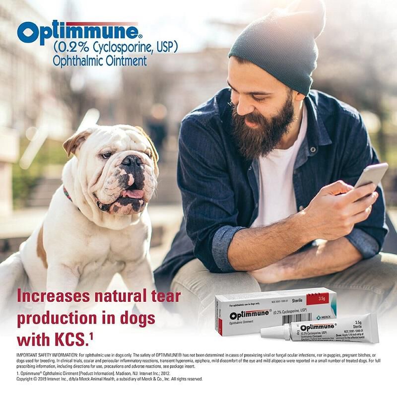 Optimmune Ophthalmic Ointment 0.2%, 3.5g Tube