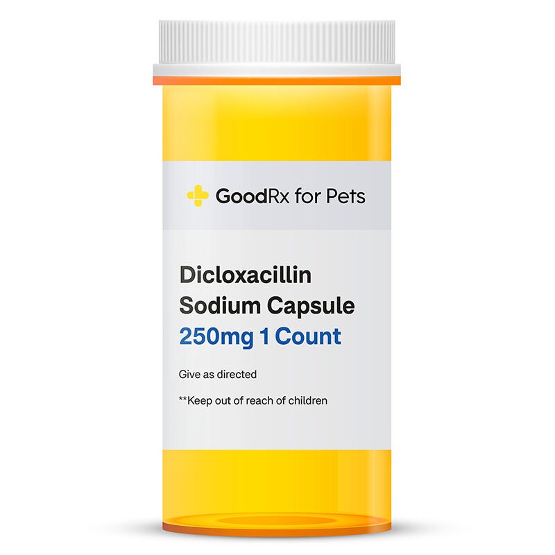Dicloxacillin Sodium Capsule