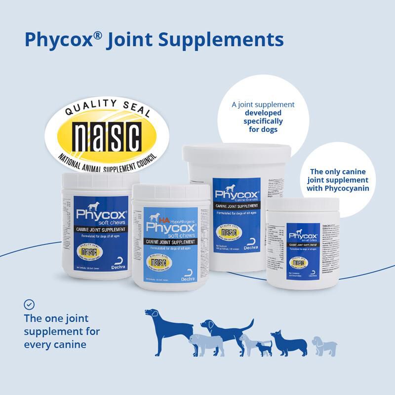 PhyCox Soft Chews