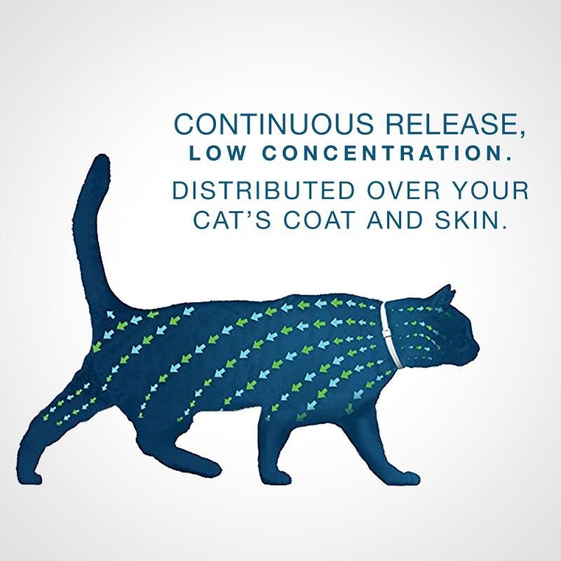 Seresto for Cats with Fleas and Ticks