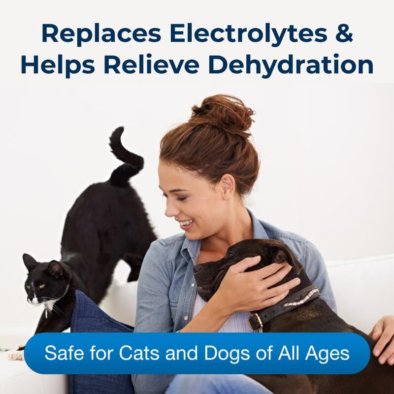 PetAG Pet Pectillin Anti-Diarrheal Medication for Dogs & Cats, 4 oz