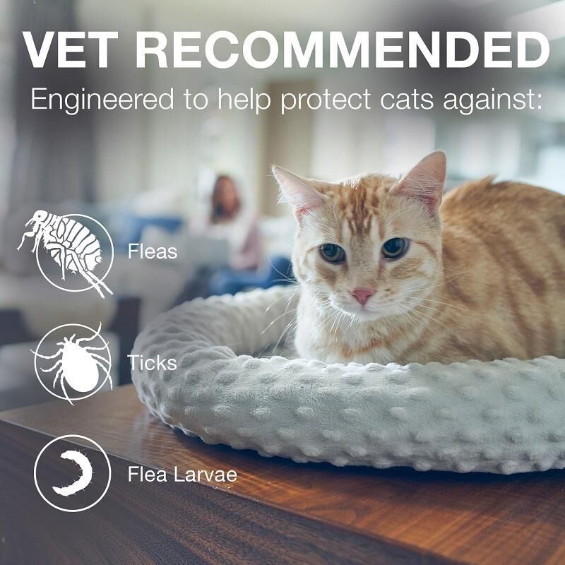 Seresto for Cats with Fleas and Ticks