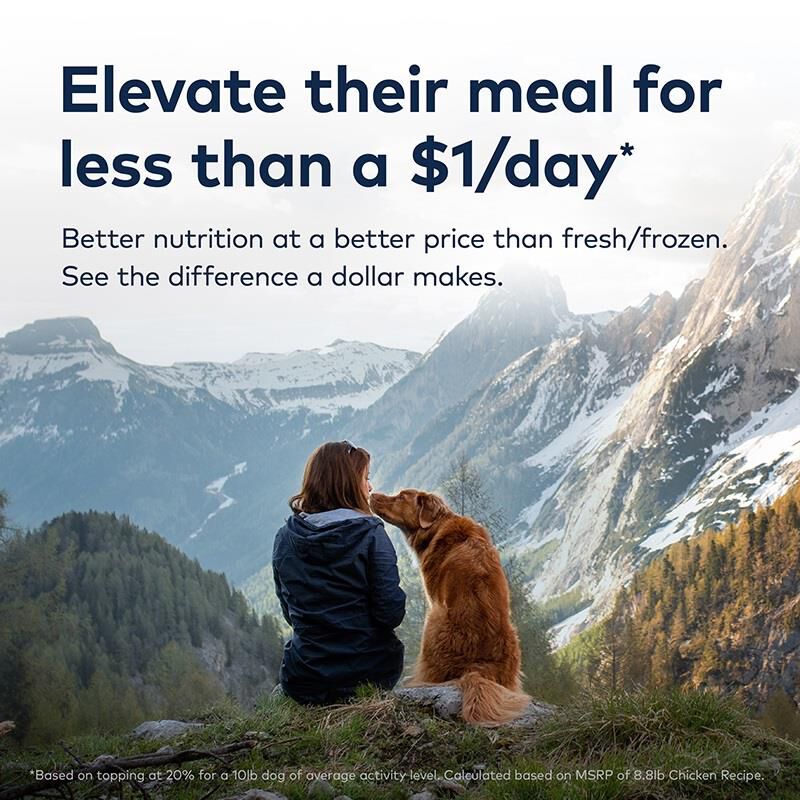ZIWI Peak Beef Air-Dried Dog Food