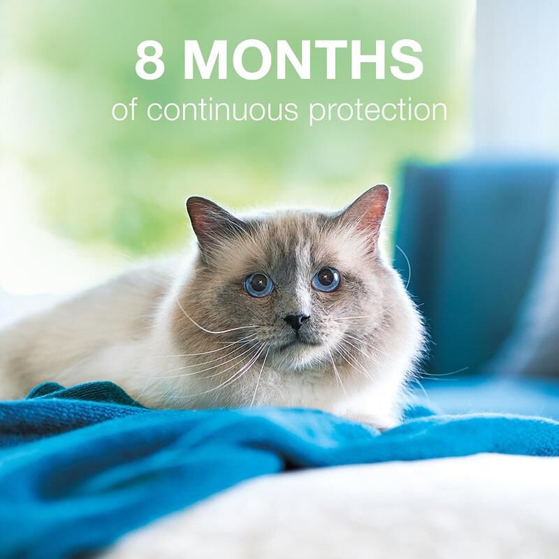 Seresto Flea and Tick Prevention Collar for Cats, 8 month flea and tick prevention