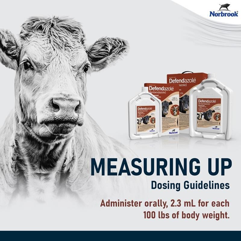 Defendazole (fenbendazole) Suspension 10% Dewormer for Beef & Dairy Cattle and Goats, 1 Liter