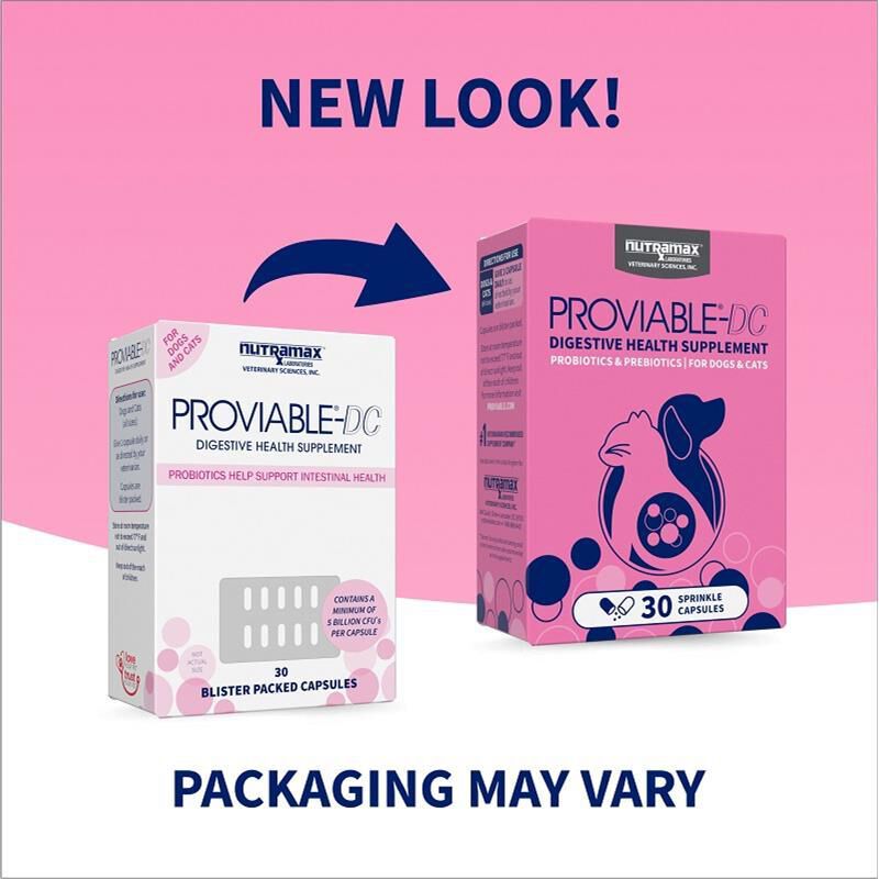 Proviable-DC for Dogs and Cats