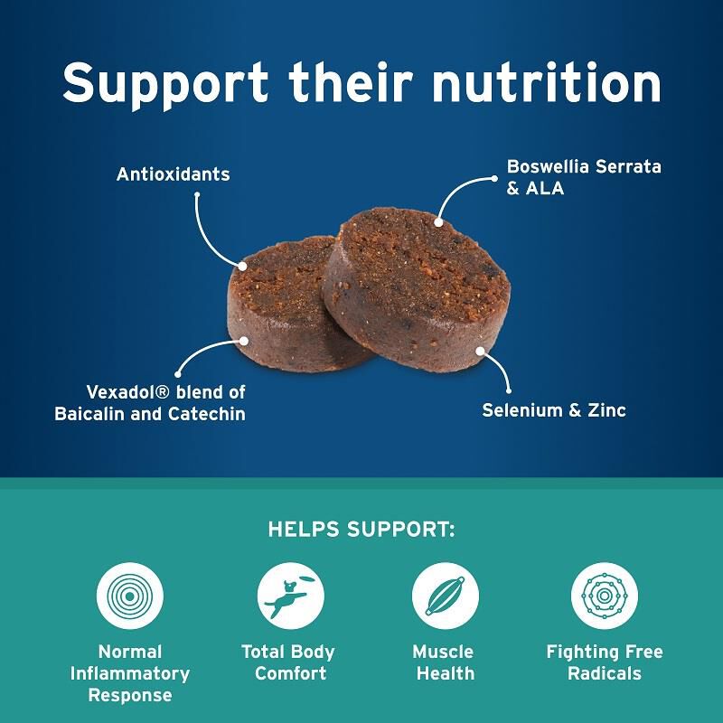 Pet Protect Body Comfort + Alenza Soft Chews for Dogs
