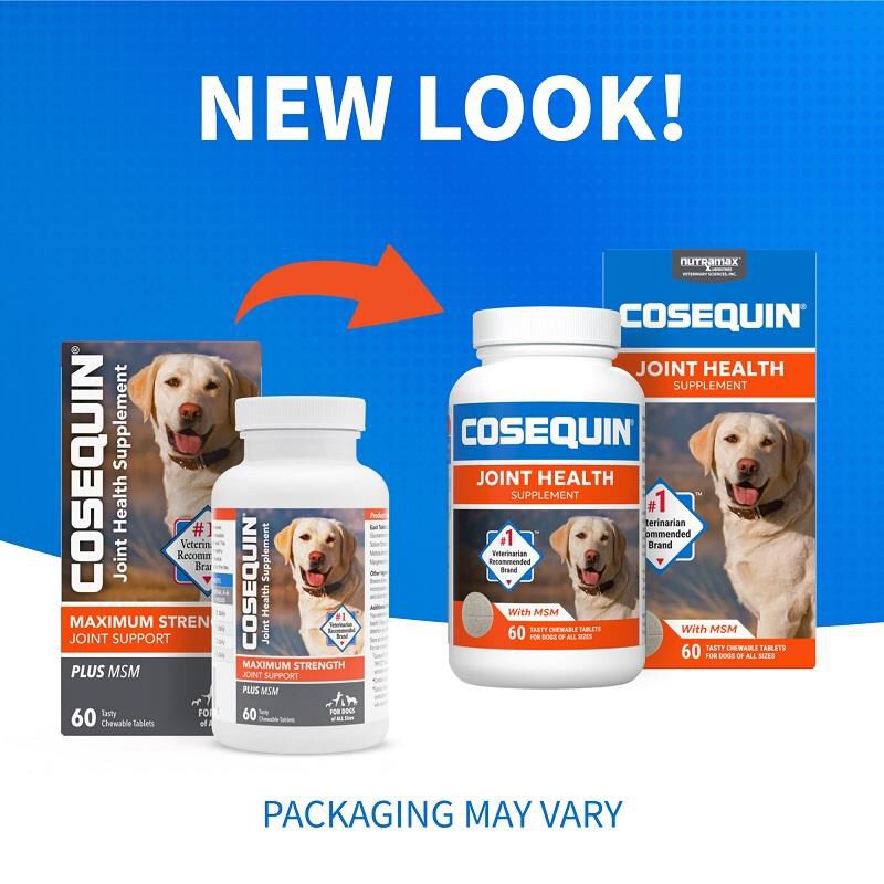 Cosequin Chews Plus MSM
