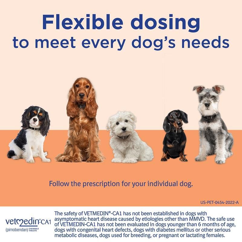 Vetmedin-CA1 (pimobendan) Chewable Tablets for Dogs 1.25 mg, 50 Ct.