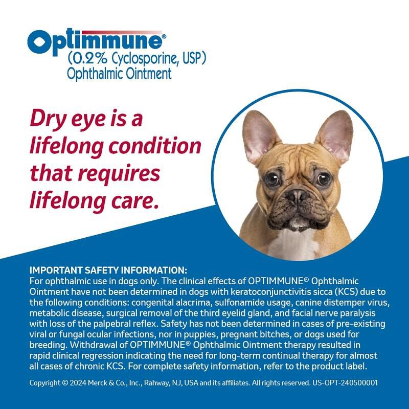 Optimmune Ophthalmic Ointment 0.2%, 3.5g Tube