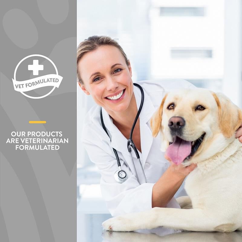 NaturVet Senior Advanced Incontinence Soft Chews Supplement for Dogs 60 Ct.