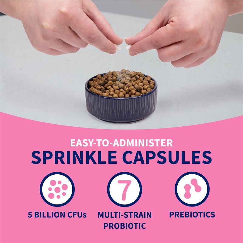 Proviable KP Paste + 10 Caps for Dogs and Cats