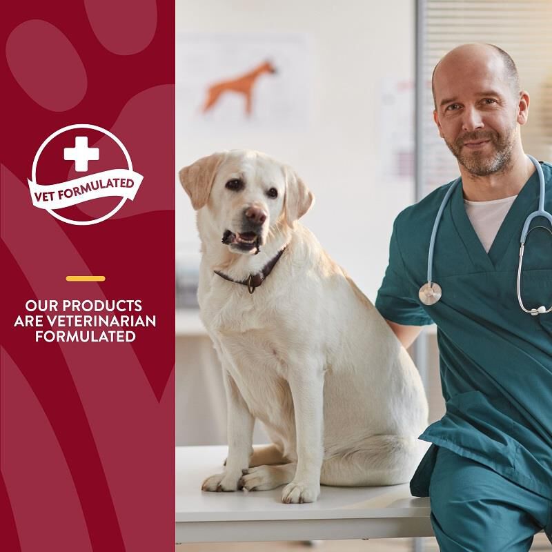 NaturVet Bladder Support Plus Cranberry Soft Chews for Dogs, 60 ct