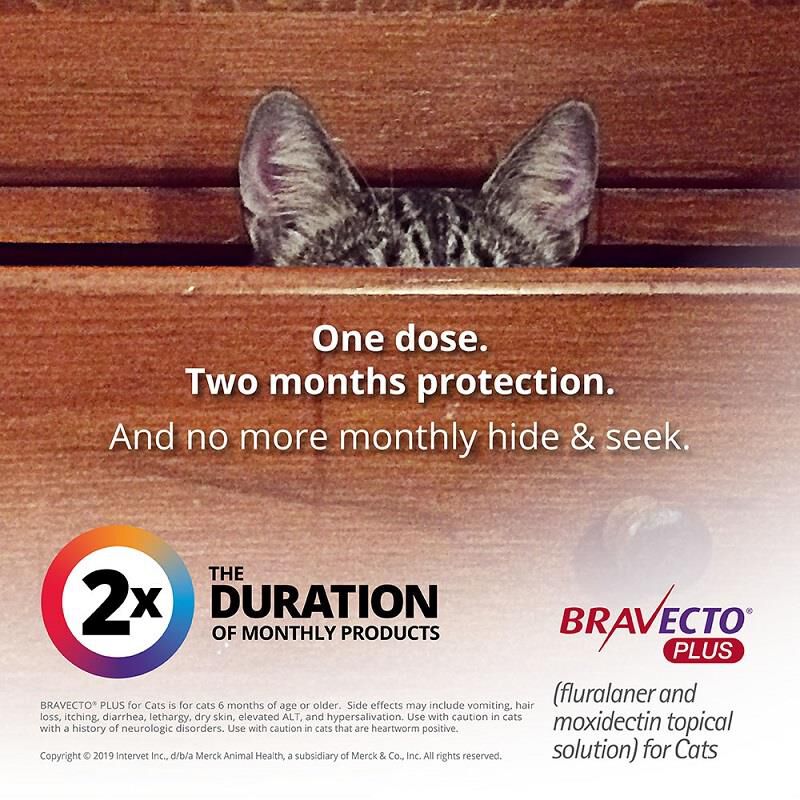 Bravecto Plus Topical Solution for Cats