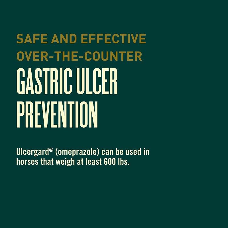 Merial UlcerGard for Horses to Prevent Ulcers, 0.22 ounces, 4 Doses