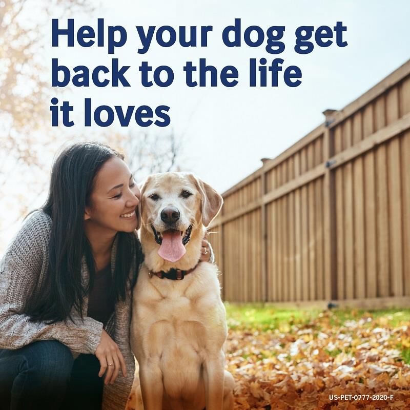 Previcox Chewable Tablets for Dogs