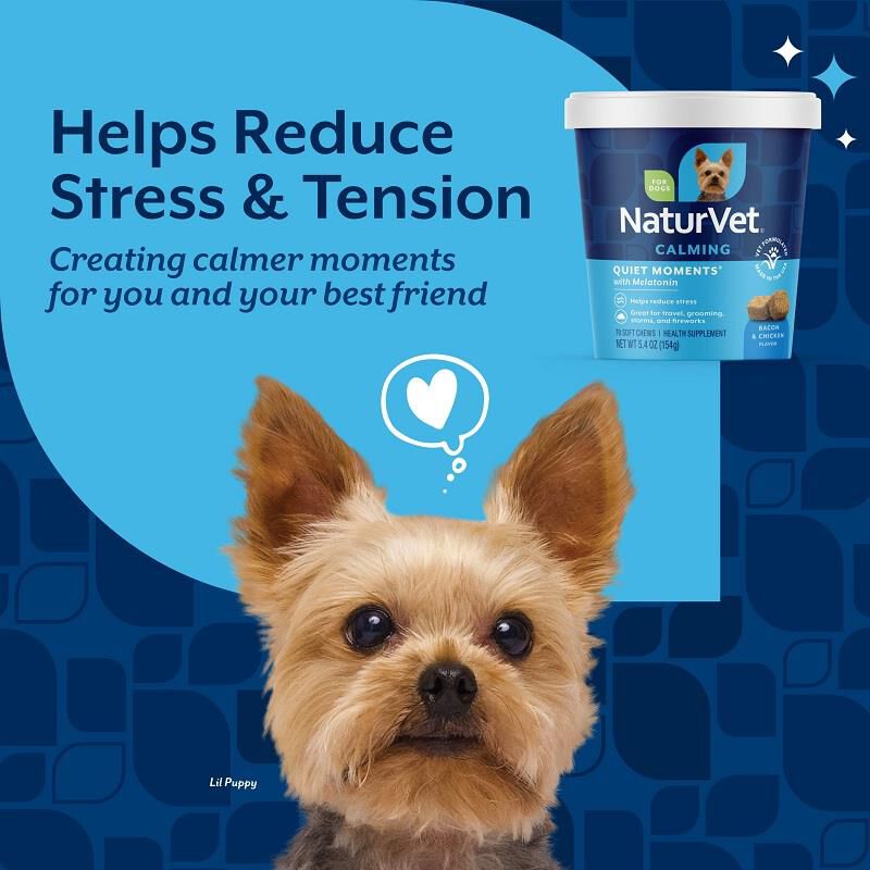 NaturVet Quiet Moments Calming Aid Plus Melatonin Soft Chews for Dogs, 70 Ct