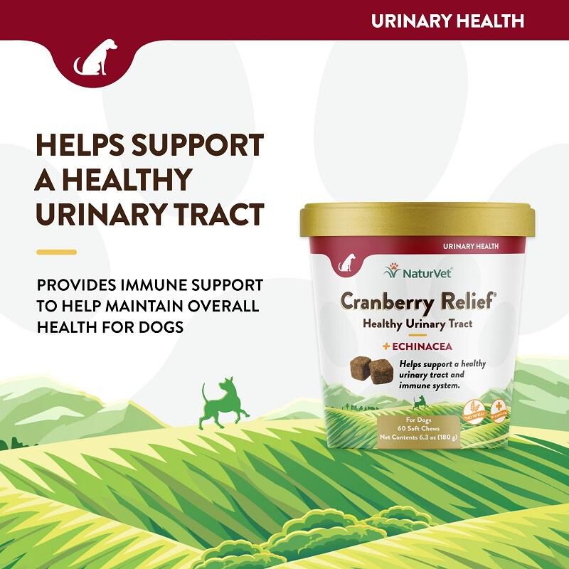 NaturVet Cranberry Relief Healthy Urinary Tract Plus Echinacea Soft Chews for Dogs