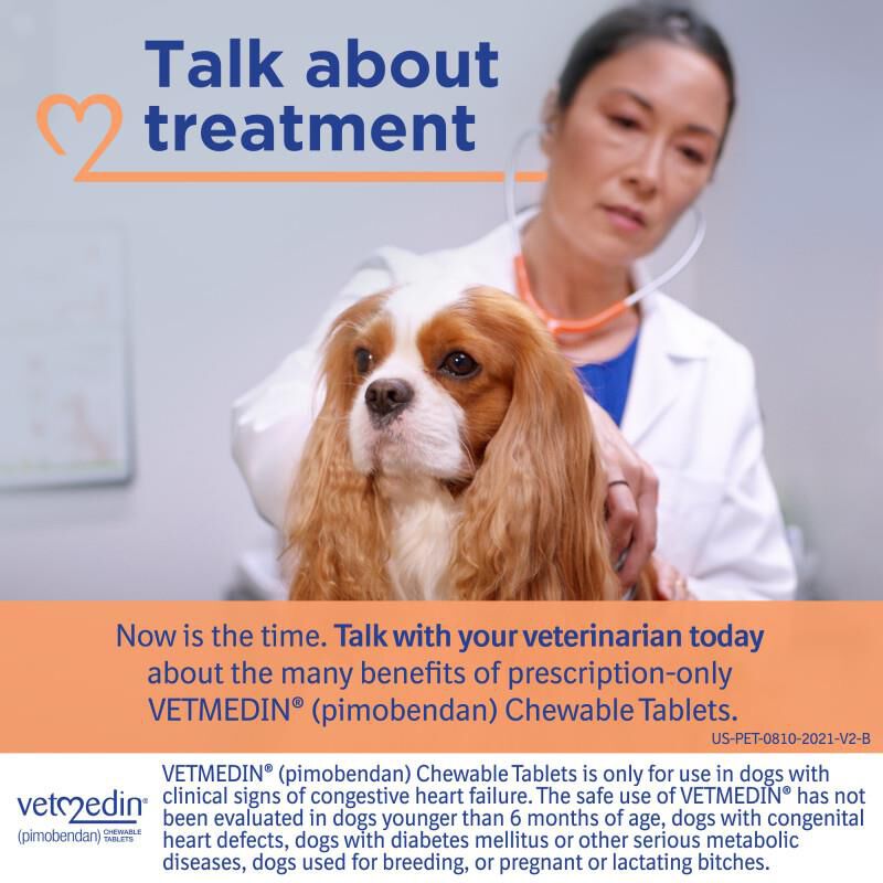 Vetmedin Chewable Tablets 2.5 mg, 50 Ct.