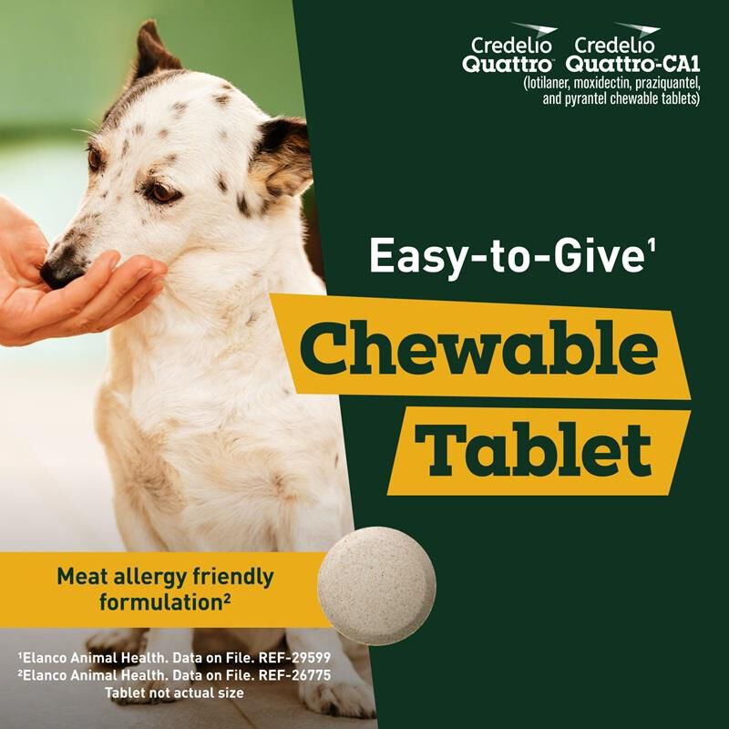 Credelio Quattro Flavored Chewable Tablet for Dogs & Puppies 6.1-12 lbs Pink 12 Month Supply