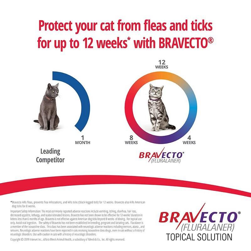 Bravecto Topical Solution for Cats