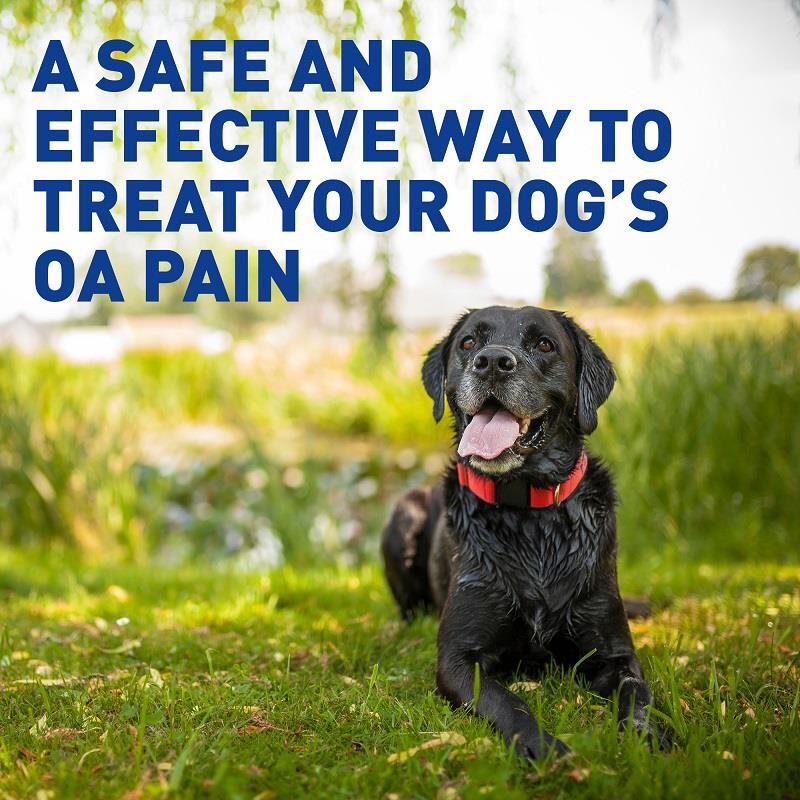 Deramaxx Chewable Tablets for Dogs 75 mg, 60 Ct.