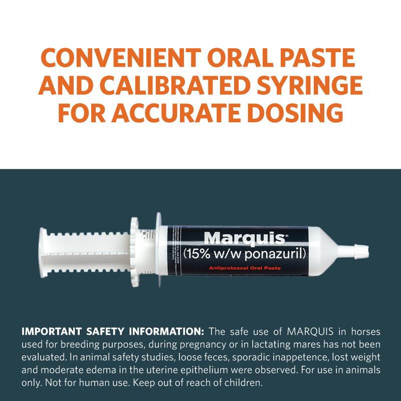 Marquis (15% w/w ponazuril) Antiprotozoal Oral Paste for Horses, 127 gm