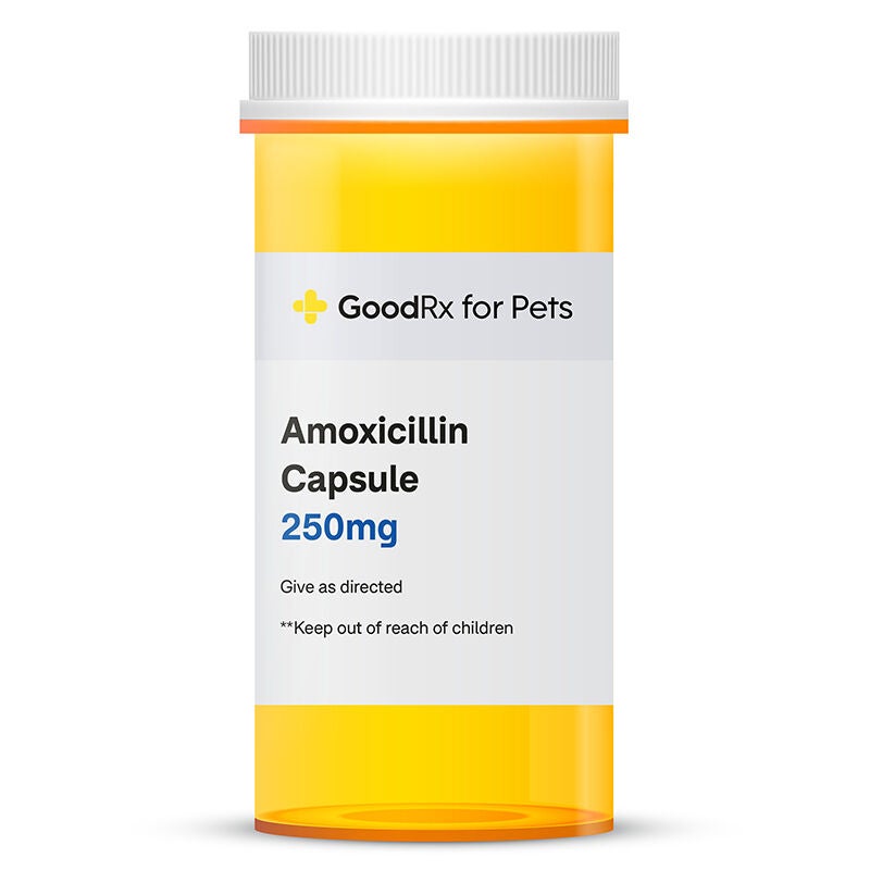 Amoxicillin Capsules