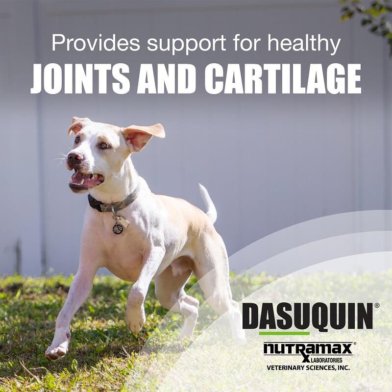 Dasuquin Small & Med Dogs 150 Ct.