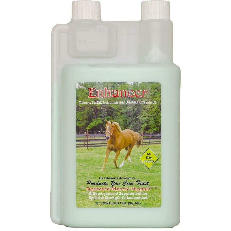 Enhancer for Horses