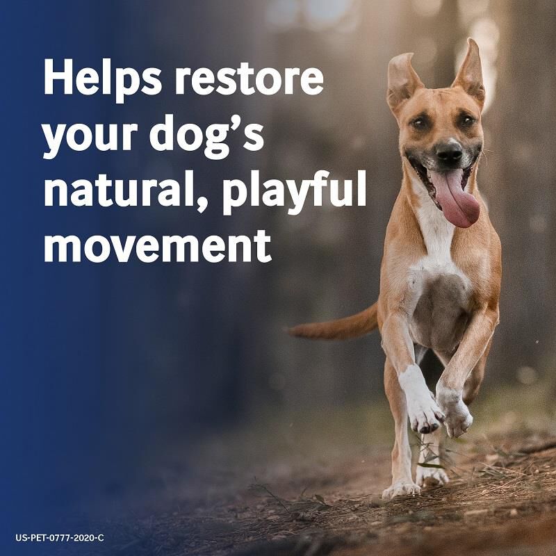 Previcox Chewable Tablets for Dogs 227 mg, 60 Ct.