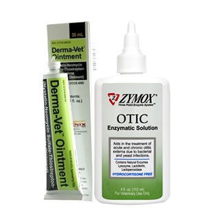 Dog Ear Infection