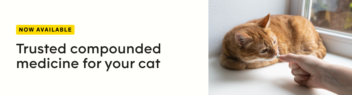 Cat Compounded Medications