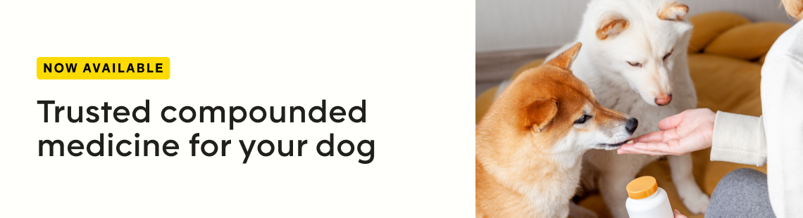 Dog Compounded Medications